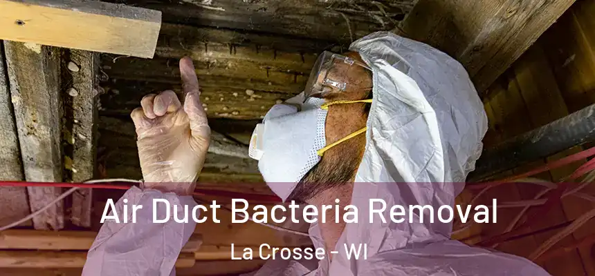  Air Duct Bacteria Removal La Crosse - WI