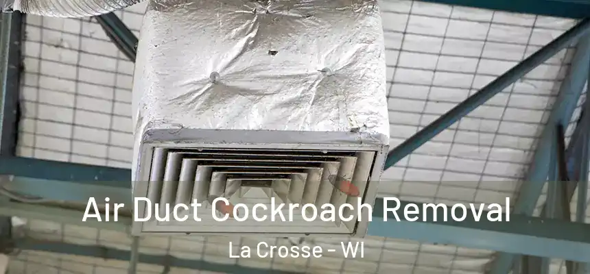 Air Duct Cockroach Removal La Crosse - WI
