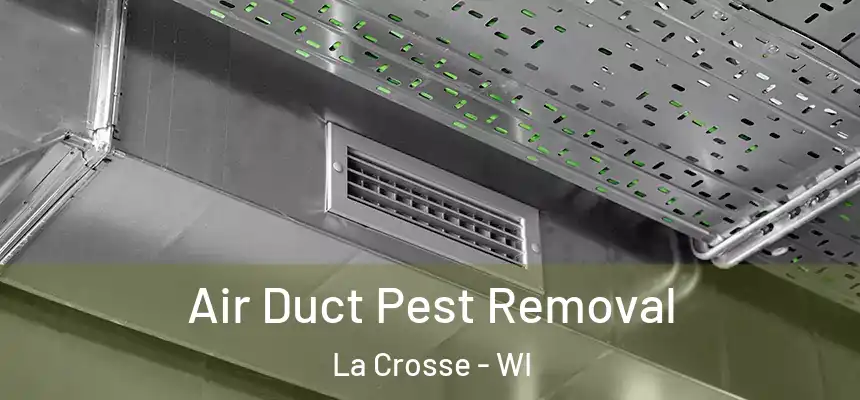  Air Duct Pest Removal La Crosse - WI