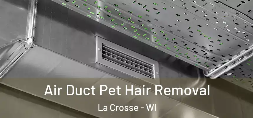  Air Duct Pet Hair Removal La Crosse - WI