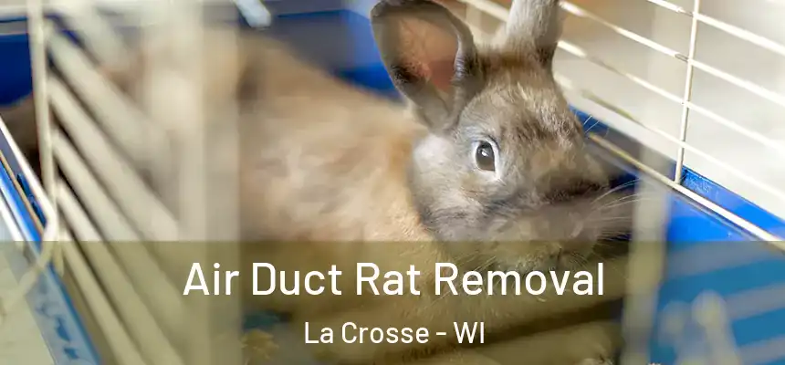  Air Duct Rat Removal La Crosse - WI