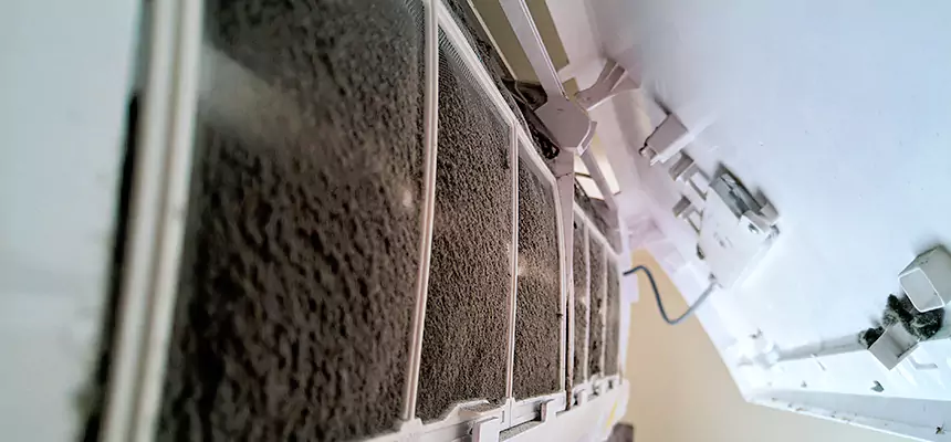 Preventive Air Duct Bacteria Removal in La Crosse