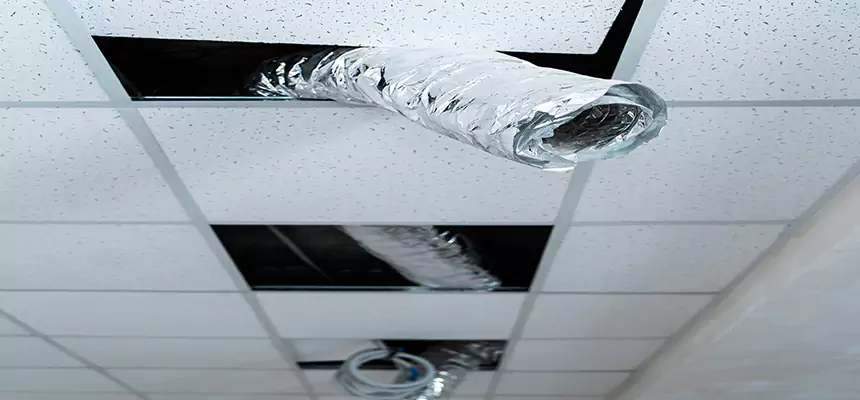 Affordable HVAC Sanitizing After Pest Removal in La Crosse