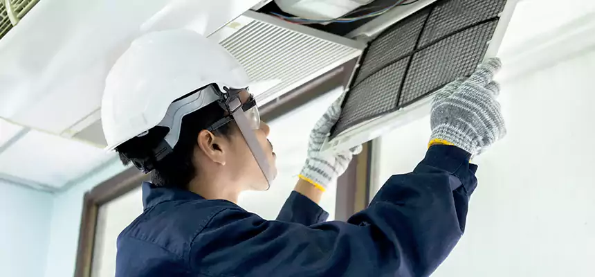 Our Mold & Mildew Removal from Air Ducts Services in La Crosse, WI