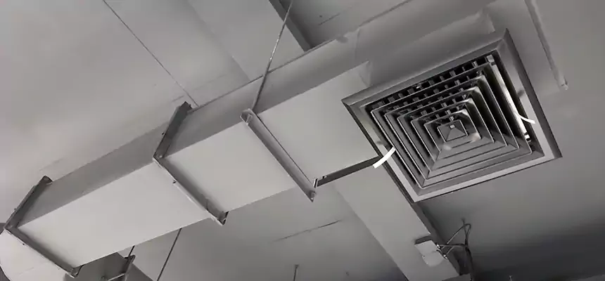 Our Pest Removal From Ducts Services in La Crosse, WI