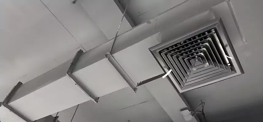 Our Rodent Droppings In Vents Services in La Crosse, WI