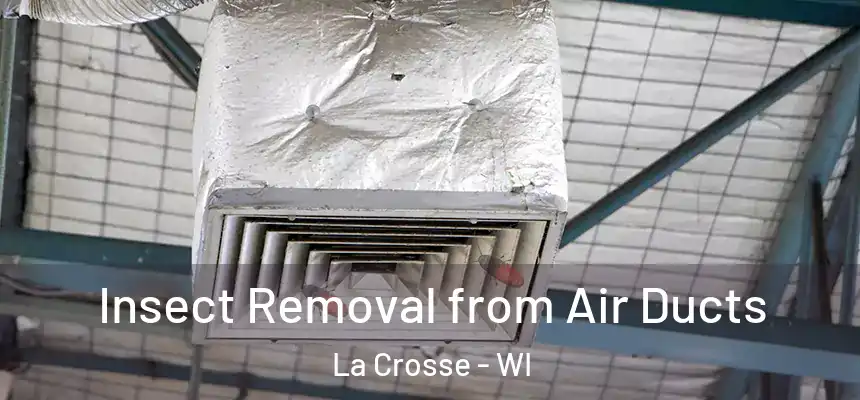  Insect Removal from Air Ducts La Crosse - WI