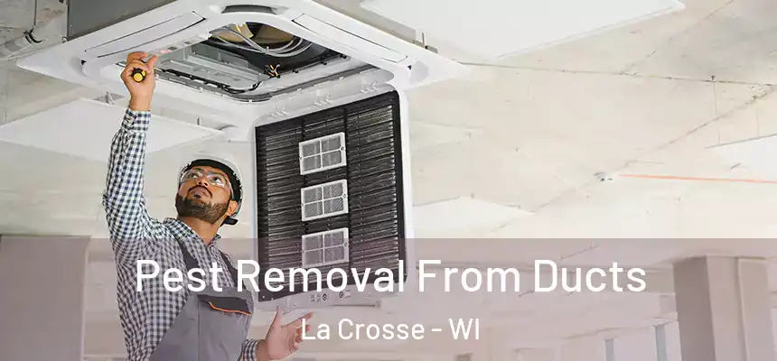 Pest Removal From Ducts La Crosse - WI