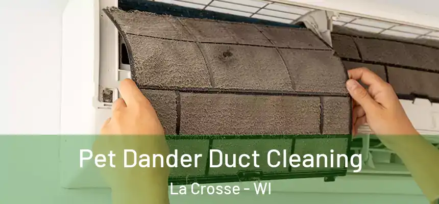 Pet Dander Duct Cleaning La Crosse - WI
