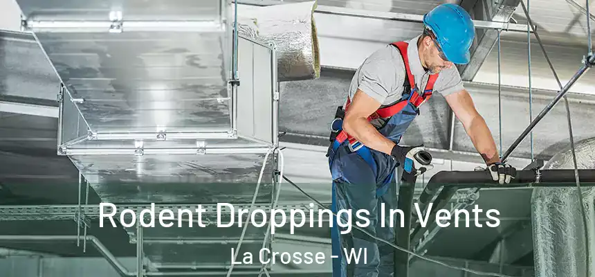 Rodent Droppings In Vents La Crosse - WI