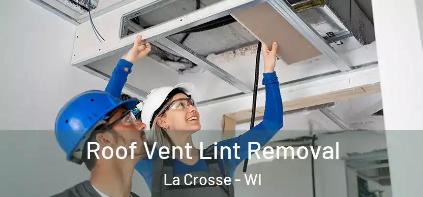 Roof Vent Lint Removal La Crosse - WI