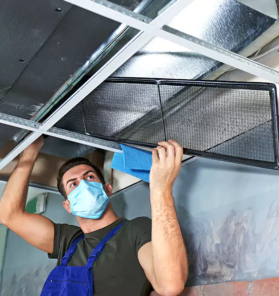 Professional Air Duct Pollen Cleaning in La Crosse, WI