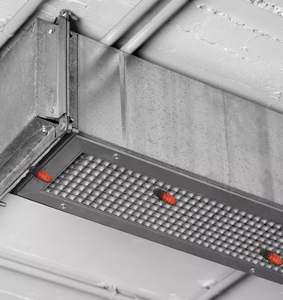 Affordable Insect Removal from Air Ducts in La Crosse, WI